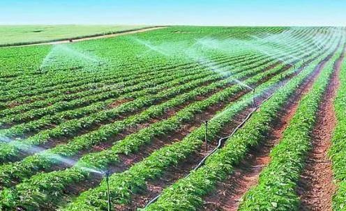 美女抠高潮喷水在线观看农田高 效节水灌溉